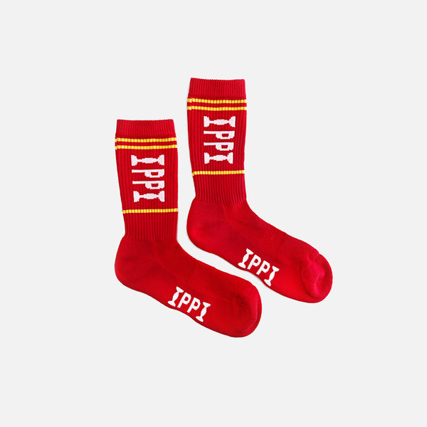 Multi colour PP Logo Stripe Socks from Public Possession blues store www.bluesstore.co